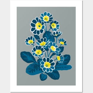 Primula Lace Blue Posters and Art